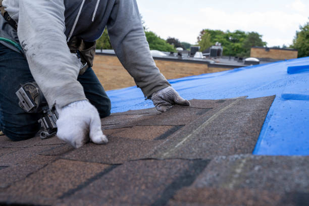 Best Storm Damage Roof Repair  in Carolina Forest, SC